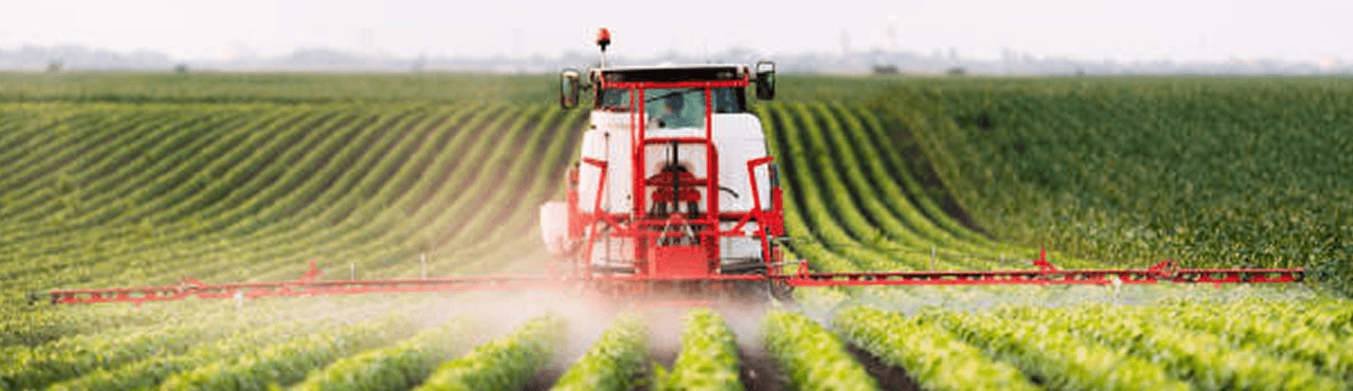 Illustration of African produce being exported globally